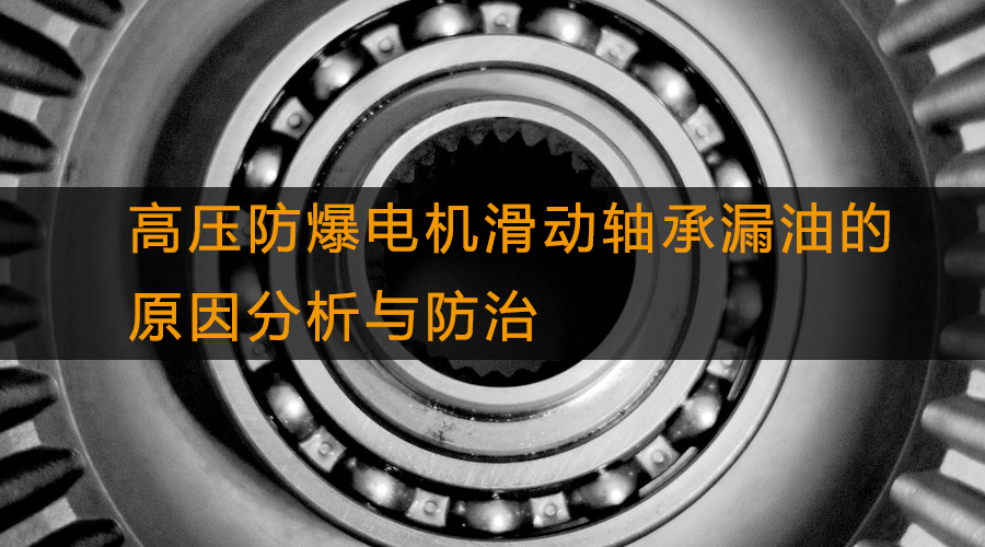 高壓防爆電機(jī)滑動(dòng)軸承漏油的原因分析與防治 
