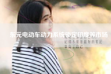 東元電動(dòng)車(chē)動(dòng)力系統(tǒng)鎖定印度等市場(chǎng)