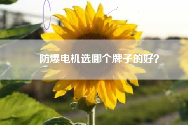 防爆電機(jī)選哪個(gè)牌子的好？
