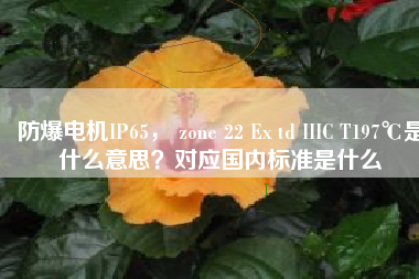 防爆電機IP65， zone 22 Ex td IIIC T197℃是什么意思？對應(yīng)國內(nèi)標準是什么