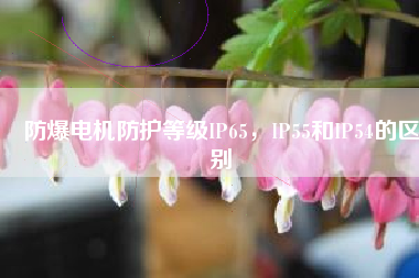 防爆電機(jī)防護(hù)等級(jí)IP65，IP55和IP54的區(qū)別