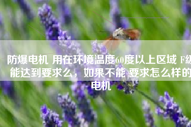 防爆電機(jī) 用在環(huán)境溫度60度以上區(qū)域 F級(jí)能達(dá)到要求么，如果不能 要求怎么樣的電機(jī)
