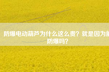 防爆電動葫蘆為什么這么貴？就是因?yàn)槟芊辣瑔幔?></div>
                            <div   id=