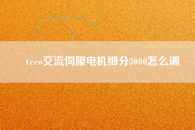 teco交流伺服電機細分3000怎么調(diào)