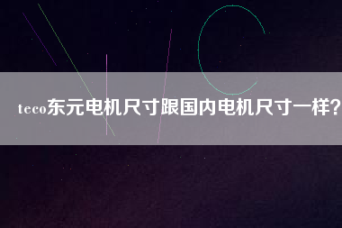 teco東元電機(jī)尺寸跟國內(nèi)電機(jī)尺寸一樣？