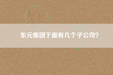 東元集團(tuán)下面有幾個子公司？