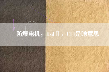 防爆電機(jī)，ExdⅡ，CT4是啥意思
