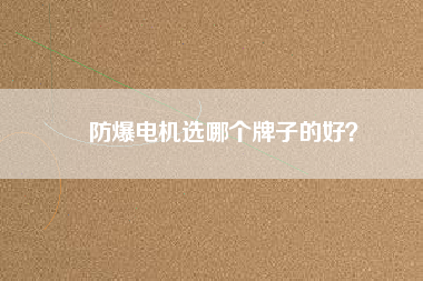 防爆電機(jī)選哪個(gè)牌子的好？