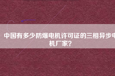 中國有多少防爆電機(jī)許可證的三相異步電機(jī)廠家？