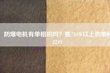 防爆電機(jī)有單相的嗎？要750W以上的單相220V