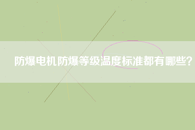 防爆電機(jī)防爆等級(jí)溫度標(biāo)準(zhǔn)都有哪些？