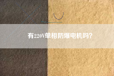 有220V單相防爆電機嗎？